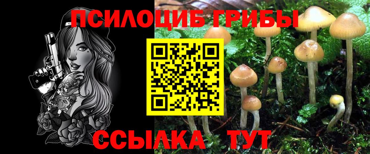 Галлюциногенные грибы MAGIC MUSHROOMS  Вход с VPN  Галлюциногенные грибы мицелий  Архангельск 